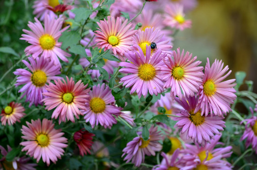 751760 (a): :2500x1656